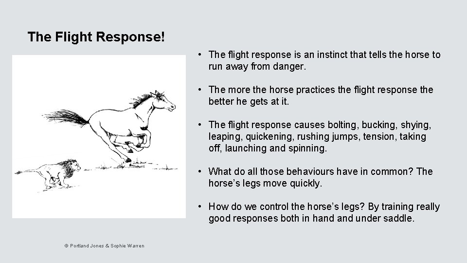 The Flight Response! • The flight response is an instinct that tells the horse