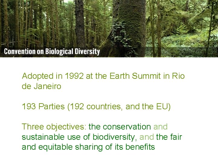 Biodiversity is life Biodiversity is our life I. The Convention on Biological Diversity Adopted