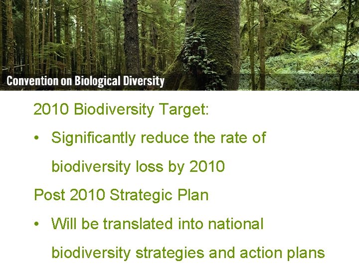 Biodiversity is life Biodiversity is our life 2010 Biodiversity Target: • Significantly reduce the