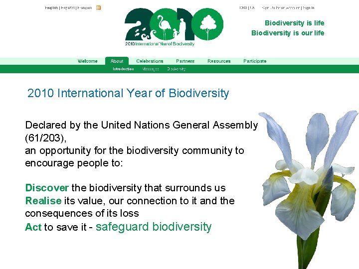 Biodiversity is life Biodiversity is our life 2010 International Year of Biodiversity Declared by