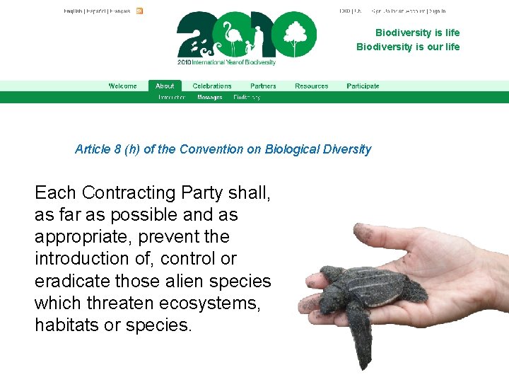 Biodiversity is life Biodiversity is our life Article 8 (h) of the Convention on