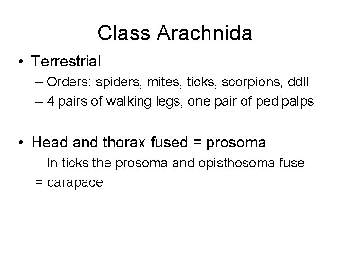 Class Arachnida • Terrestrial – Orders: spiders, mites, ticks, scorpions, ddll – 4 pairs