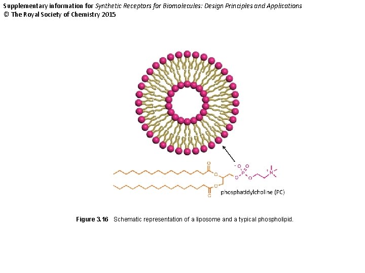 Supplementary information for Synthetic Receptors for Biomolecules: Design Principles and Applications © The Royal