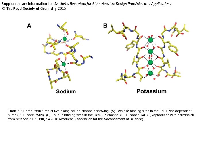 Supplementary information for Synthetic Receptors for Biomolecules: Design Principles and Applications © The Royal