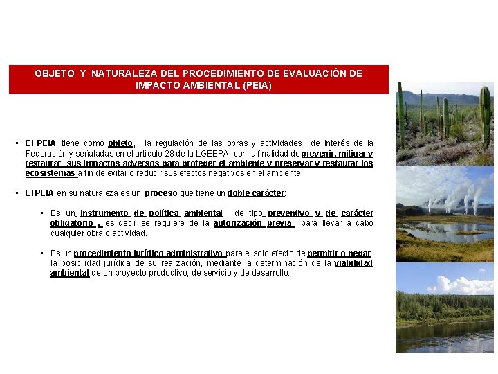 OBJETO Y NATURALEZA DEL PROCEDIMIENTO DE EVALUACIÓN DE IMPACTO AMBIENTAL (PEIA) • El PEIA