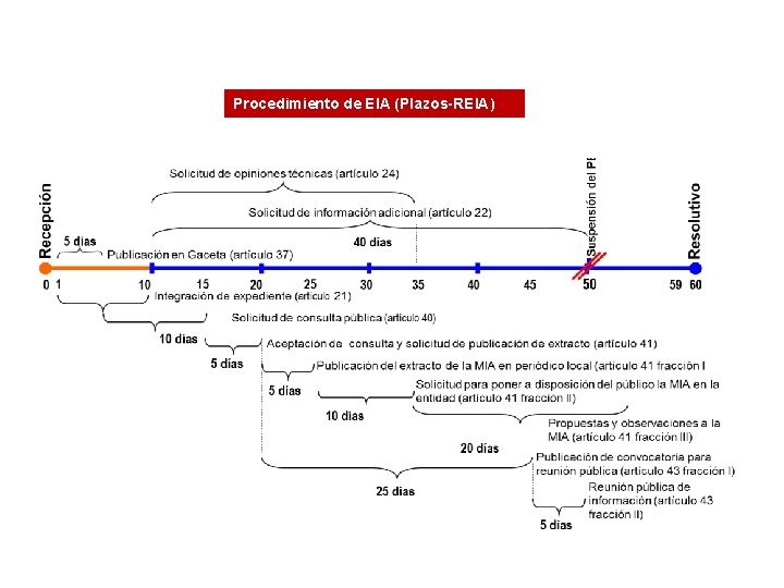 Procedimiento de EIA (Plazos-REIA) 