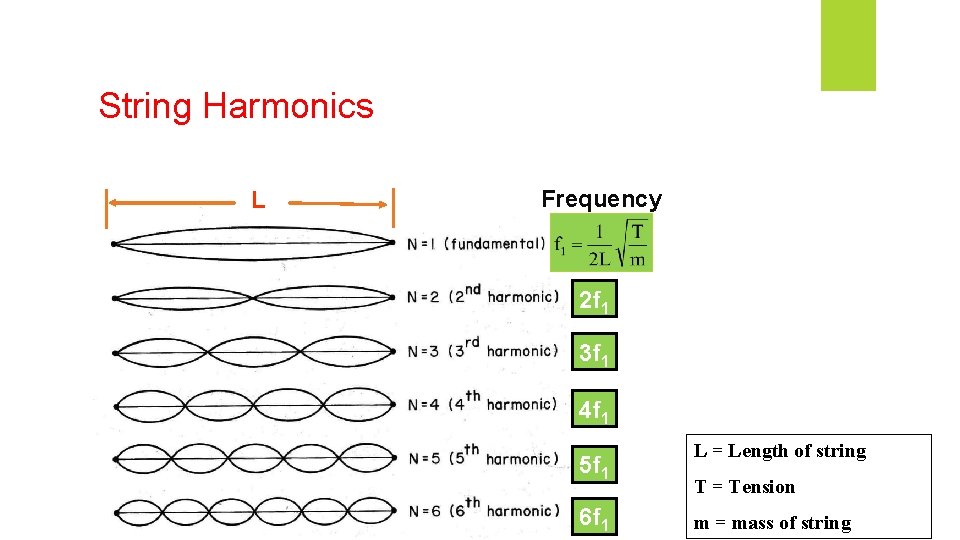 String Harmonics L Frequency 2 f 1 3 f 1 4 f 1 5 String Harmonics L Frequency 2 f 1 3 f 1 4 f 1 5