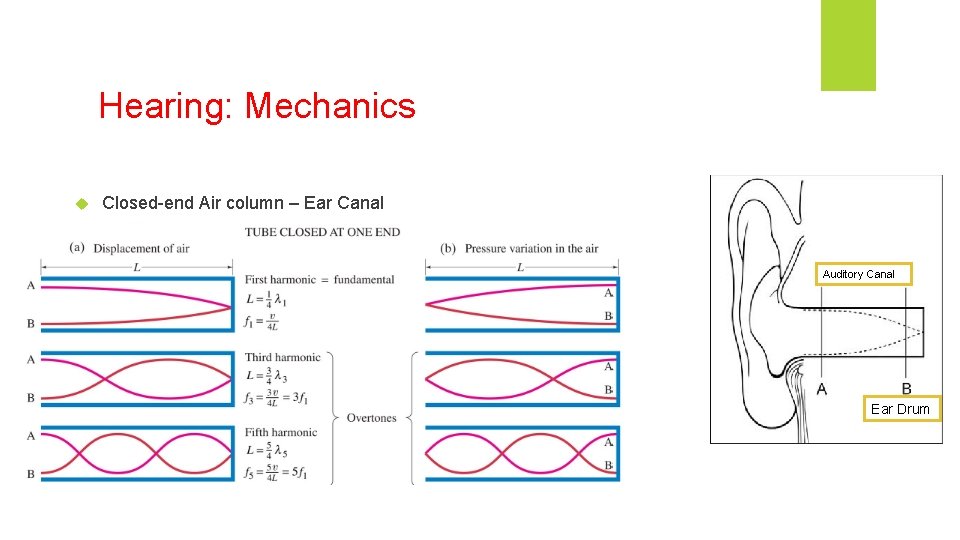 Hearing: Mechanics Closed-end Air column – Ear Canal Auditory Canal Ear Drum Hearing: Mechanics Closed-end Air column – Ear Canal Auditory Canal Ear Drum