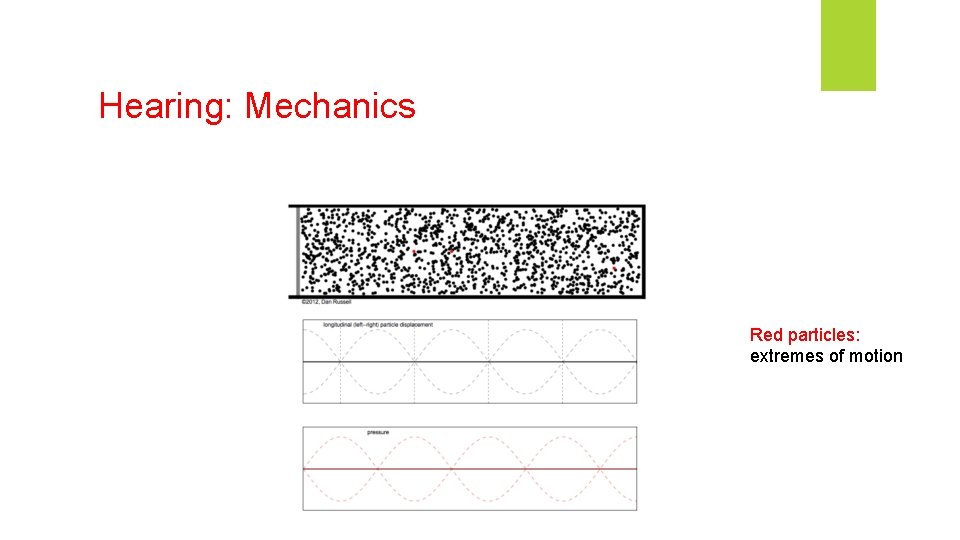 Hearing: Mechanics Red particles: extremes of motion Hearing: Mechanics Red particles: extremes of motion