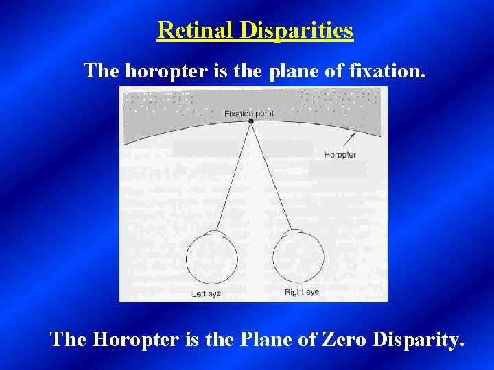 Retinal Disparities The horopter is the plane of fixation. The Horopter is the Plane