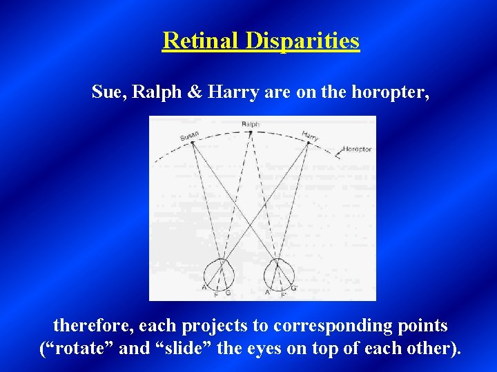 Retinal Disparities Sue, Ralph & Harry are on the horopter, therefore, each projects to