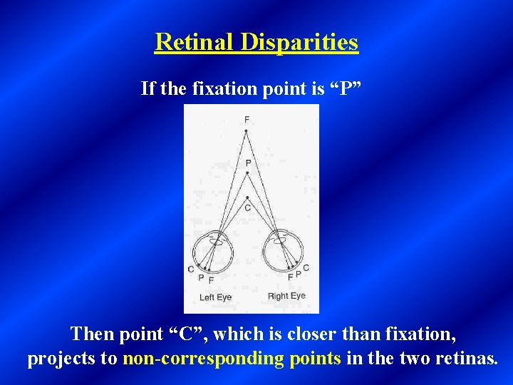Retinal Disparities If the fixation point is “P” Then point “C”, which is closer