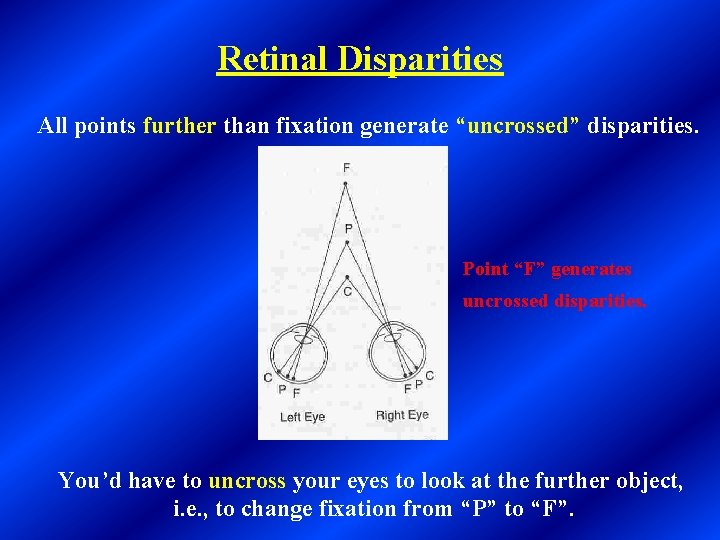 Retinal Disparities All points further than fixation generate “uncrossed” disparities. Point “F” generates uncrossed