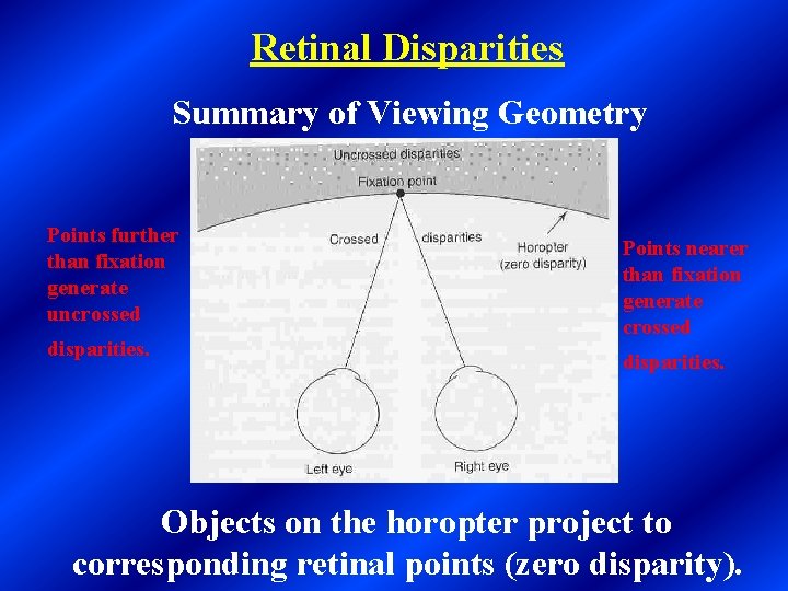 Retinal Disparities Summary of Viewing Geometry Points further than fixation generate uncrossed disparities. Points