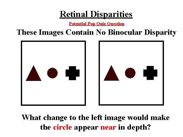 Retinal Disparities Potential Pop Quiz Question These Images Contain No Binocular Disparity What change