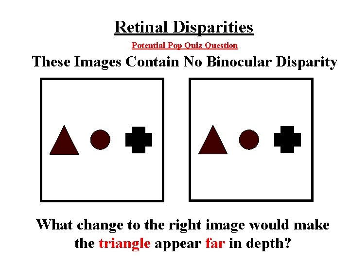 Retinal Disparities Potential Pop Quiz Question These Images Contain No Binocular Disparity What change