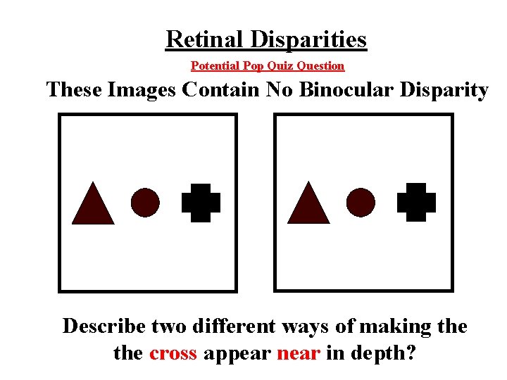 Retinal Disparities Potential Pop Quiz Question These Images Contain No Binocular Disparity Describe two