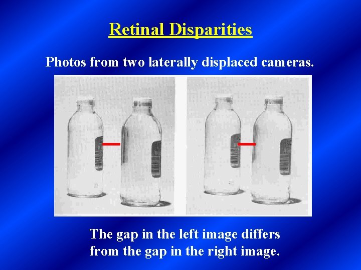 Retinal Disparities Photos from two laterally displaced cameras. The gap in the left image