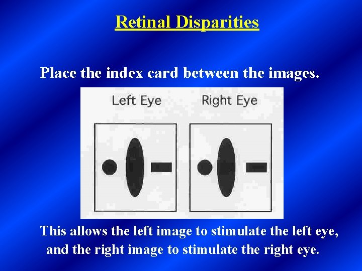 Retinal Disparities Place the index card between the images. This allows the left image