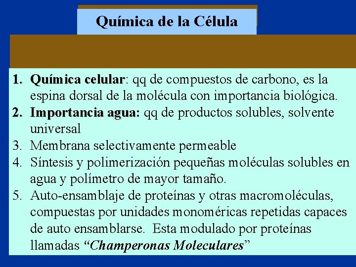 Química de la Célula Importancia del Carbono 1. Química celular: qq de compuestos de