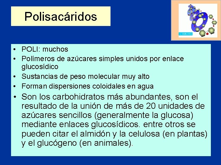 Polisacáridos • POLI: muchos • Polímeros de azúcares simples unidos por enlace glucosídico •