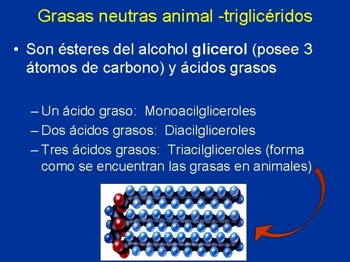Grasas neutras animal -triglicéridos • Son ésteres del alcohol glicerol (posee 3 átomos de