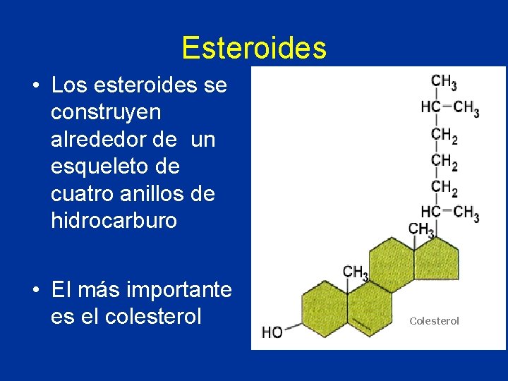 Esteroides • Los esteroides se construyen alrededor de un esqueleto de cuatro anillos de