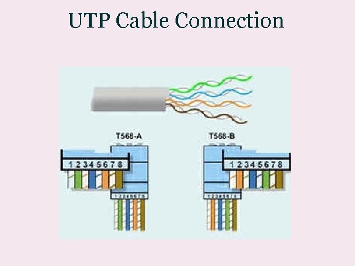 UTP Cable Connection 