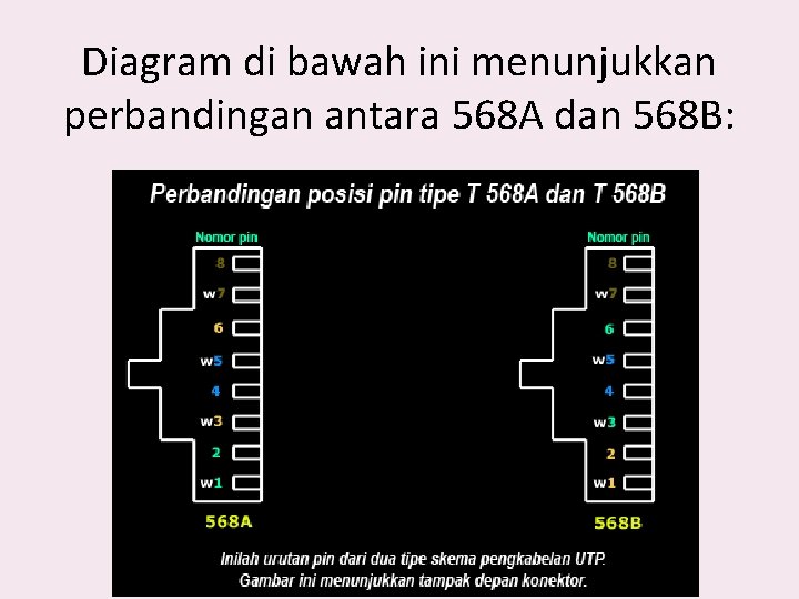 Diagram di bawah ini menunjukkan perbandingan antara 568 A dan 568 B: 