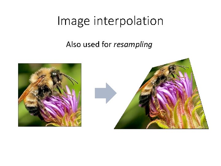 Image interpolation Also used for resampling 