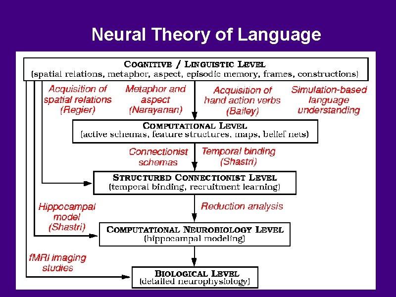 Neural Theory of Language 