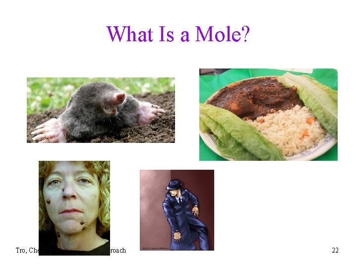 What Is a Mole? Tro, Chemistry: A Molecular Approach 22 