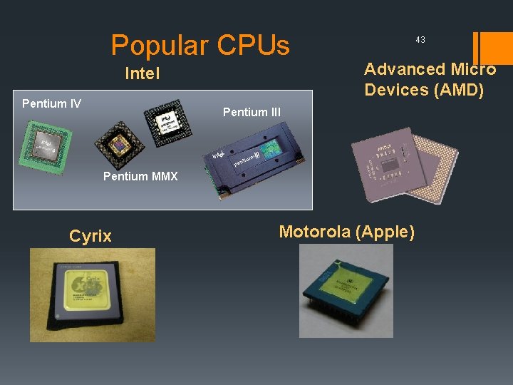 Popular CPUs Intel Pentium IV 43 Advanced Micro Devices (AMD) Pentium III Pentium MMX