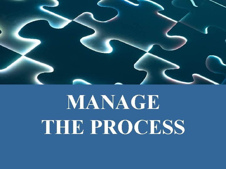 MANAGE THE PROCESS 