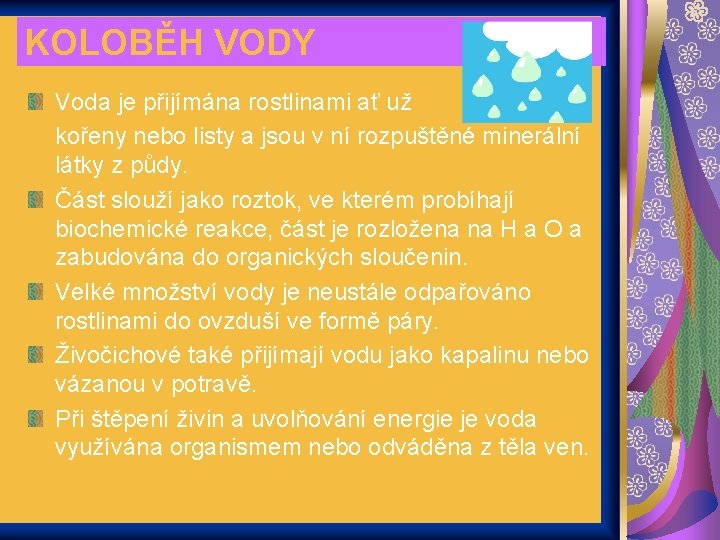 KOLOBĚH VODY Voda je přijímána rostlinami ať už kořeny nebo listy a jsou v