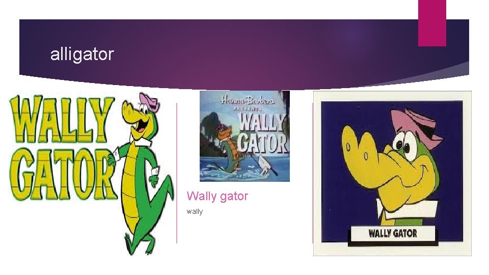 alligator Wally gator wally 