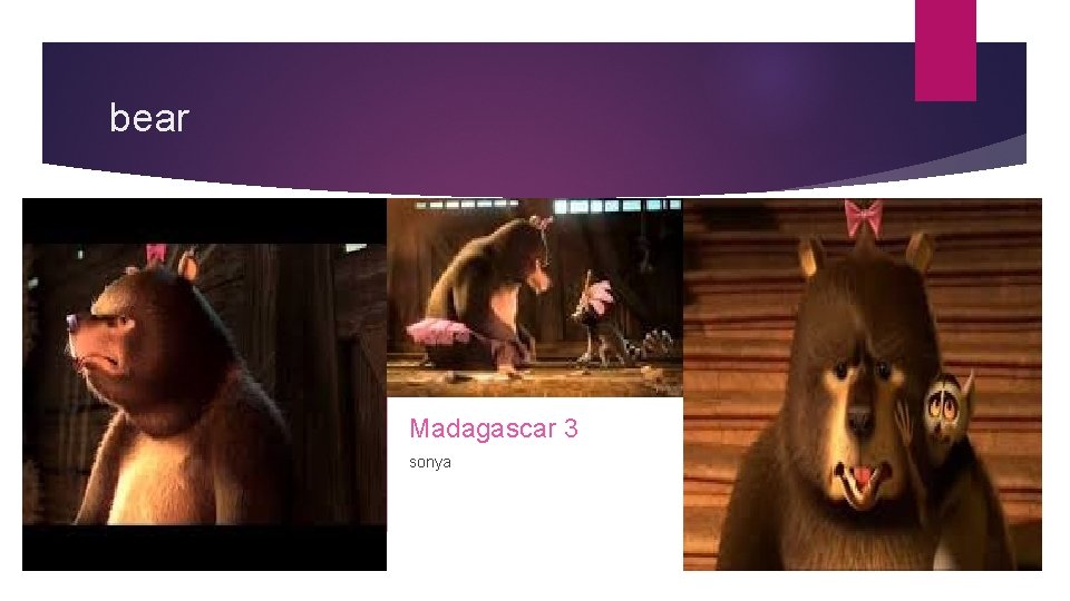 bear Madagascar 3 sonya 