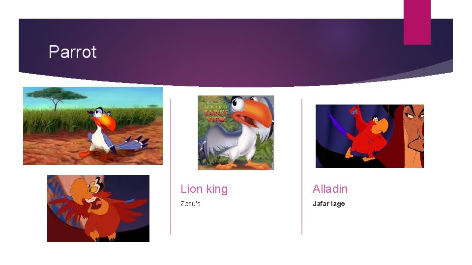 Parrot Lion king Alladin Zasu’s Jafar Iago 