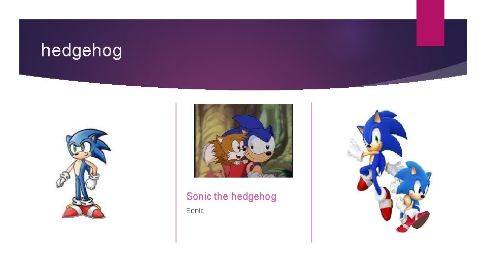 hedgehog Sonic the hedgehog Sonic 