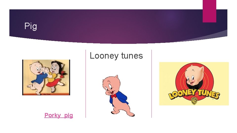 Pig Looney tunes Porky pig 