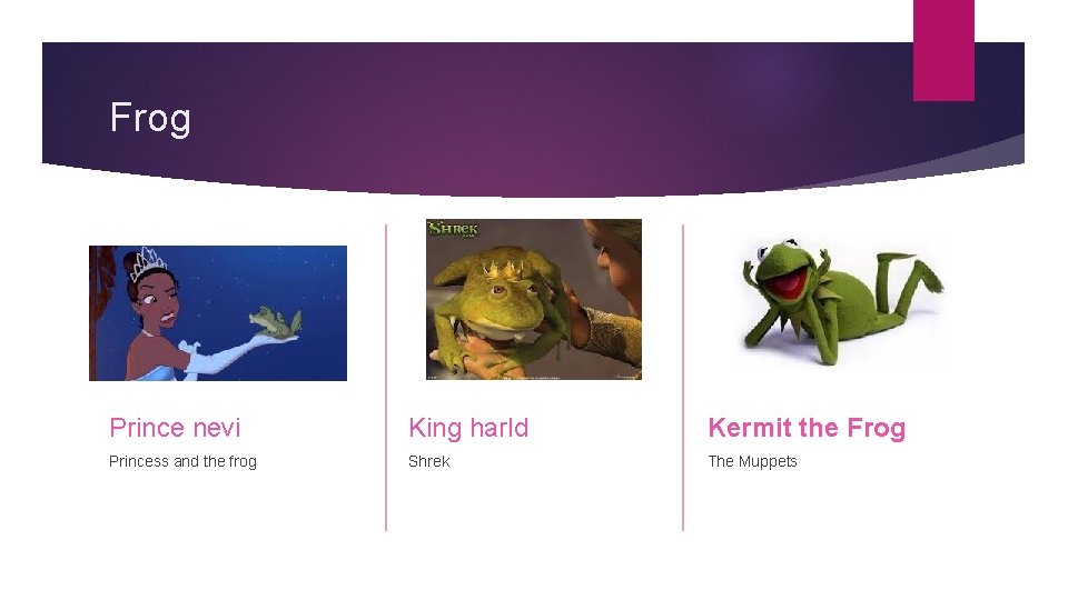 Frog Prince nevi King harld Kermit the Frog Princess and the frog Shrek The