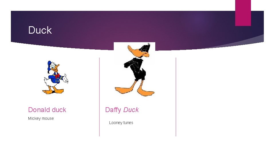 Duck Donald duck Mickey mouse Daffy Duck Looney tunes 