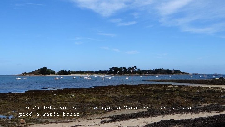 Ile Callot, vue de la plage de Carantec, accessible à pied à marée basse