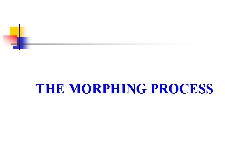 THE MORPHING PROCESS 