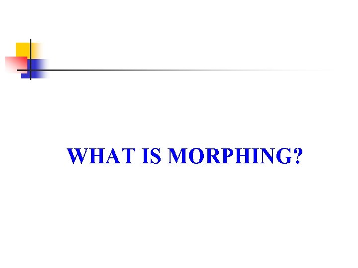 WHAT IS MORPHING? 