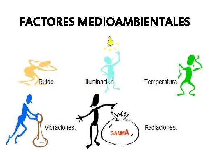 FACTORES MEDIOAMBIENTALES 