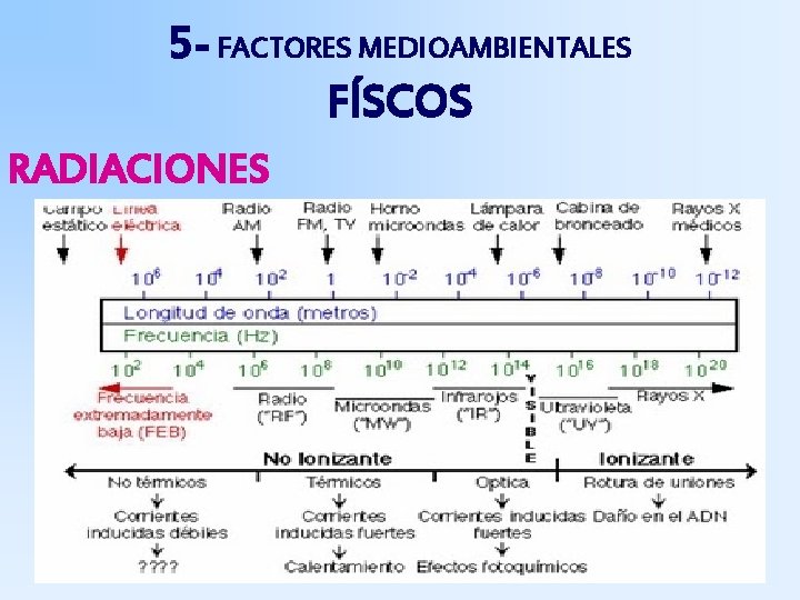 5 - FACTORES MEDIOAMBIENTALES FÍSCOS RADIACIONES 