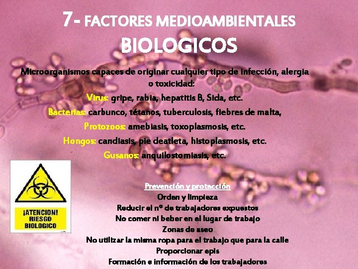 7 - FACTORES MEDIOAMBIENTALES BIOLOGICOS Microorganismos capaces de originar cualquier tipo de infección, alergia