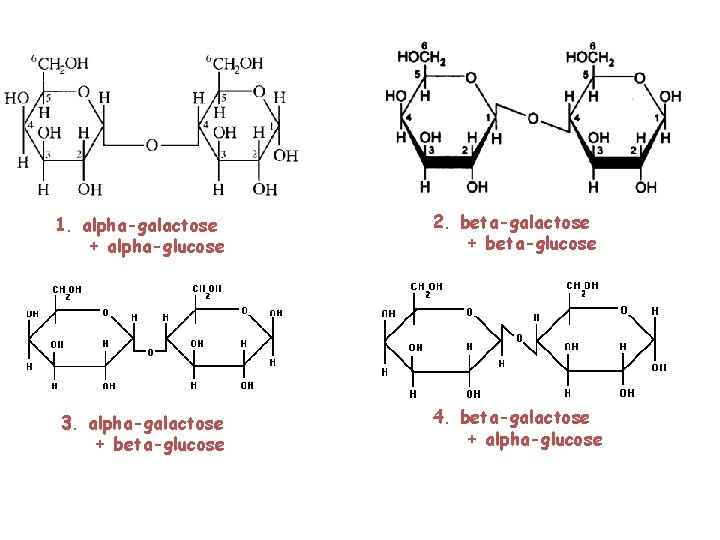 1. alpha-galactose + alpha-glucose 2. beta-galactose + beta-glucose 3. alpha-galactose + beta-glucose 4. beta-galactose