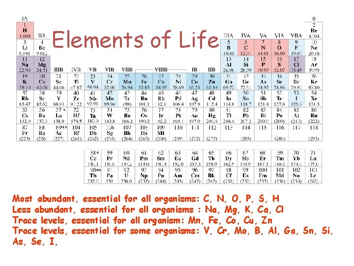 Elements of Life Most abundant, essential for all organisms: C, N, O, P, S,